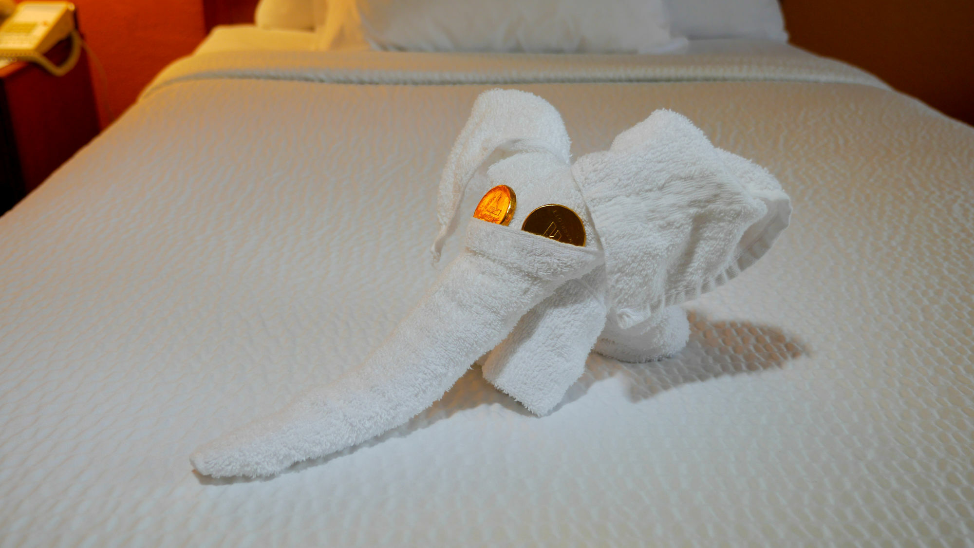 Quality Inn Fayetteville Near Fort Bragg Buitenkant foto